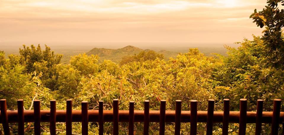 Amafu Forest Lodge Hoedspruit Exterior foto