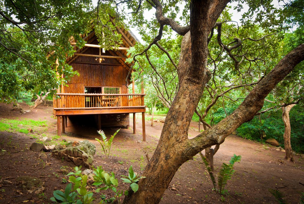 Amafu Forest Lodge Hoedspruit Exterior foto