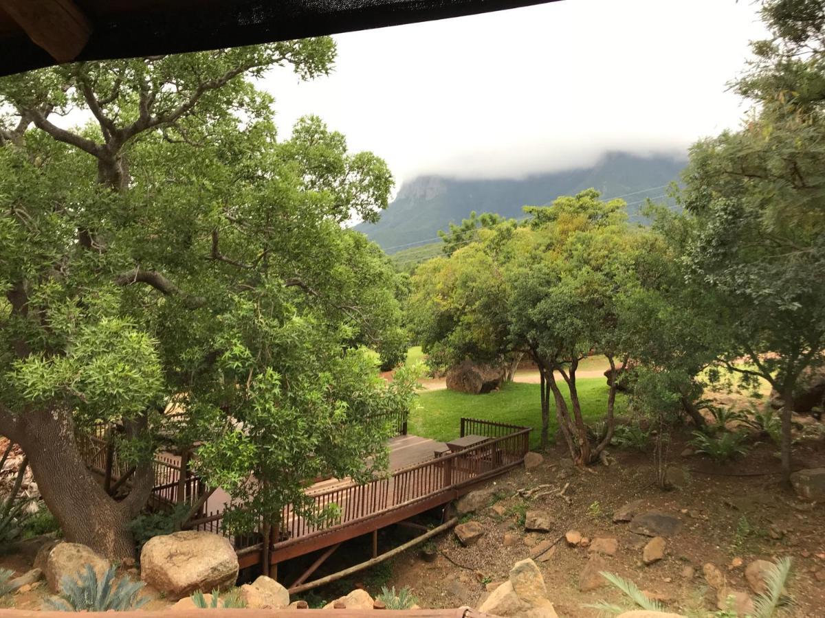 Amafu Forest Lodge Hoedspruit Exterior foto